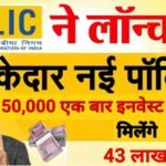 LIC plan only ₹50000 you will get 43 lakh